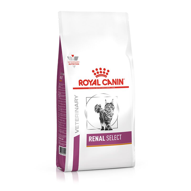 キャットフード  CANIN RENAL LIQUID 200ml x 4 Feline Renal Support Liquid Cat Food | Royal Canin US