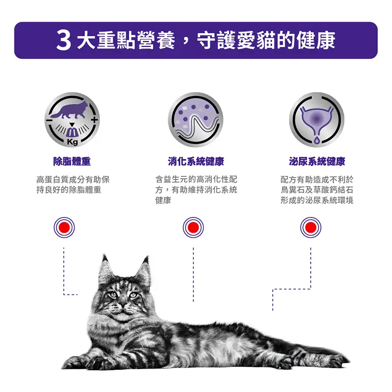 Royal Canin 法國皇家 - 成貓 Neutered Adult Maintenance 絕育 體重維持 濕糧 85g - Image 3