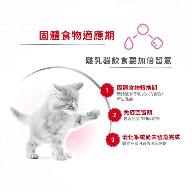 Royal Canin 法國皇家 - 離乳初生貓及母貓 Mother & Babycat 營養配方 罐頭 195g (產品到期日: 2025年12月11日) - Image 3