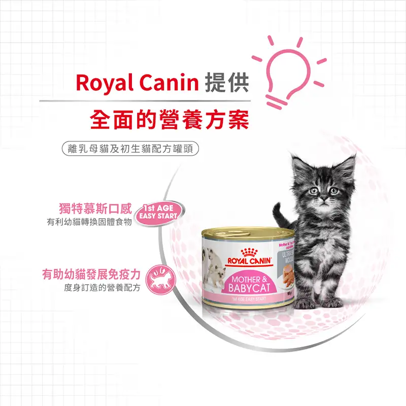 Royal Canin 法國皇家 - 離乳初生貓及母貓 Mother & Babycat 營養配方 罐頭 195g (產品到期日: 2025年12月11日) - Image 4
