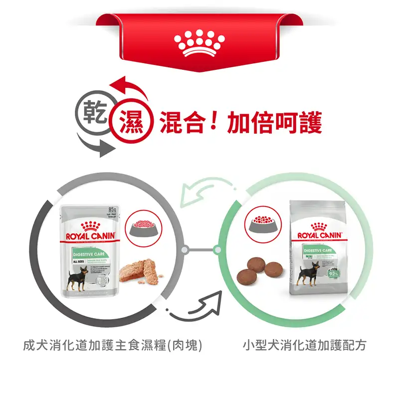 Royal Canin 法國皇家 | 成犬消化道加護主食濕糧 (肉塊) 85g - Image 6