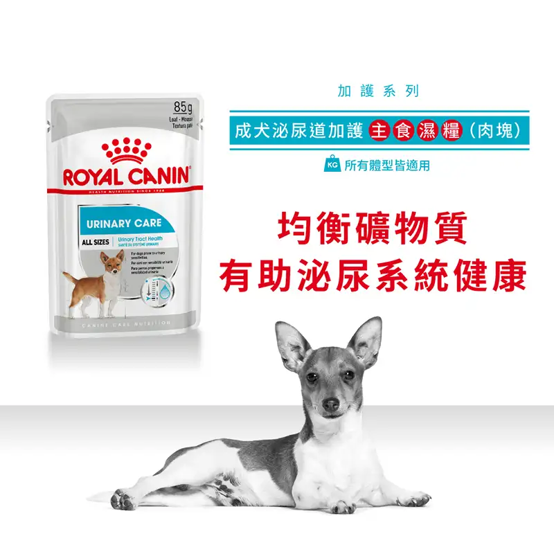 Royal Canin 法國皇家 | 成犬泌尿道加護主食濕糧 (肉塊) 85g - Image 2