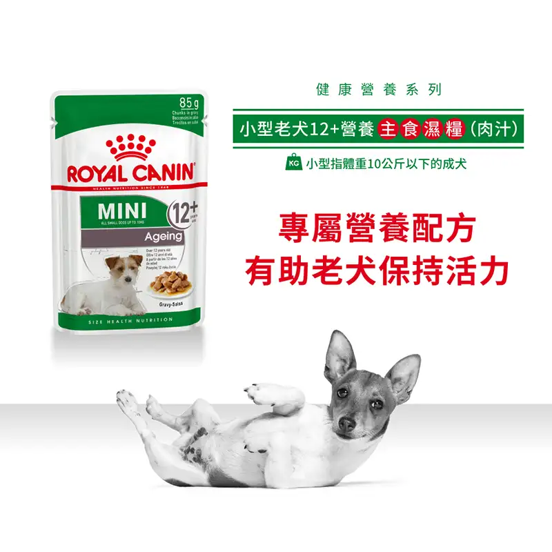 Royal Canin 法國皇家 | 小型老犬12+營養主食濕糧 (肉汁) 85g - Image 2