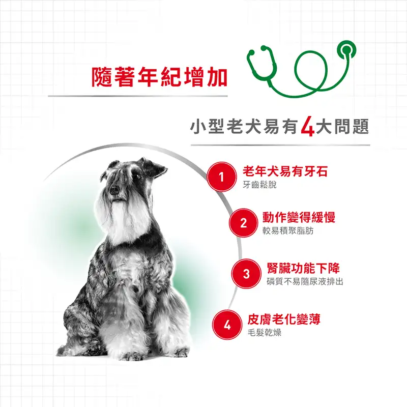 Royal Canin 法國皇家 | 小型老犬12+營養主食濕糧 (肉汁) 85g - Image 3