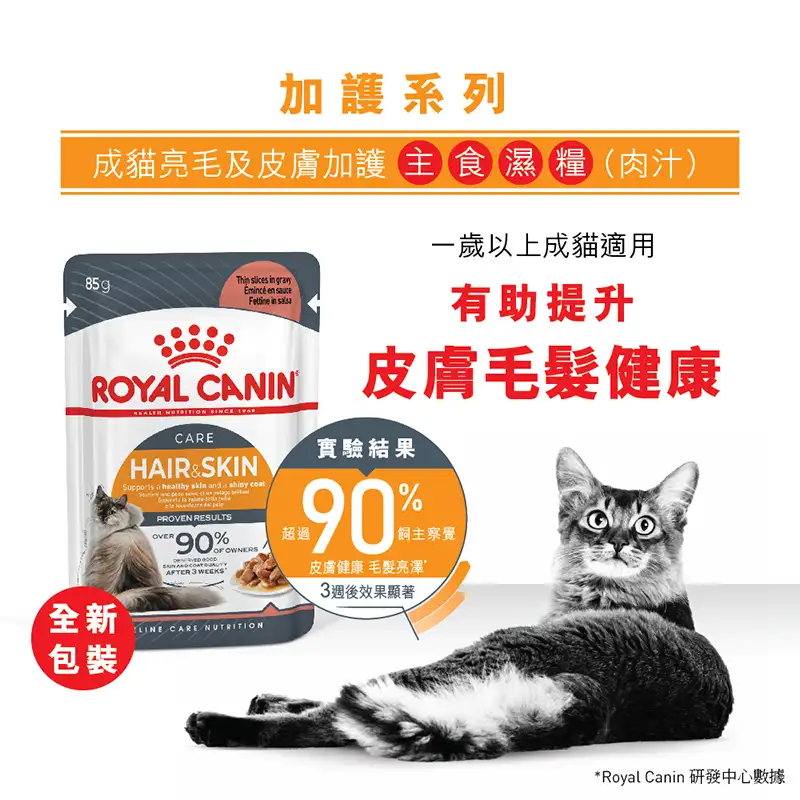 Royal Canin 法國皇家 | 成貓亮毛及皮膚加護主食濕糧 (肉汁) 85g - Image 2