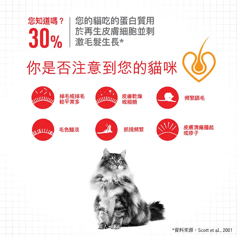 Royal Canin 法國皇家 | 成貓亮毛及皮膚加護主食濕糧 (肉汁) 85g - Image 3