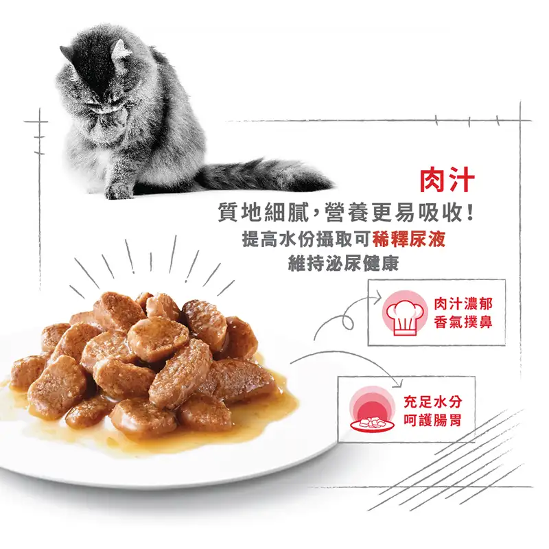 Royal Canin 法國皇家 | 成貓亮毛及皮膚加護主食濕糧 (肉汁) 85g - Image 5
