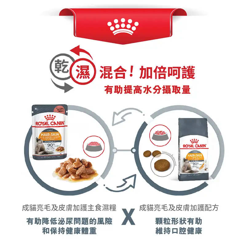 Royal Canin 法國皇家 | 成貓亮毛及皮膚加護主食濕糧 (肉汁) 85g - Image 6