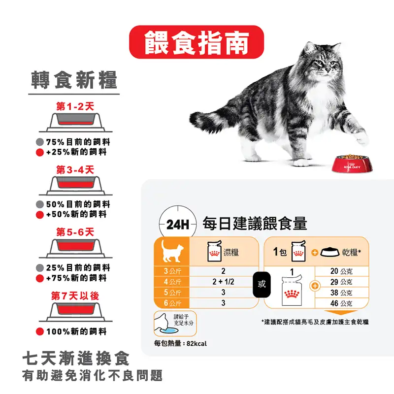 Royal Canin 法國皇家 | 成貓亮毛及皮膚加護主食濕糧 (肉汁) 85g - Image 7